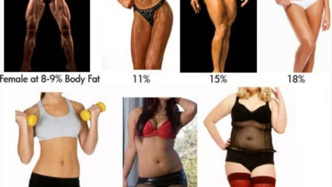 Which female body type is the most attractive to you?