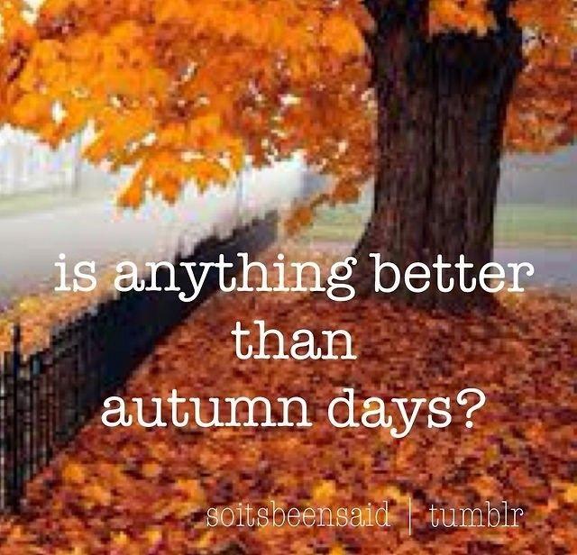 What is your favorite season?