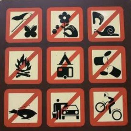 What’s the dumbest rule you’ve been forced to follow?