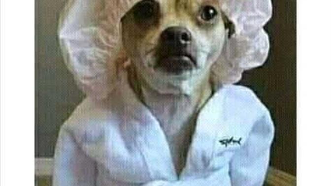 Woman wonder how they look in the mirror😂😂?