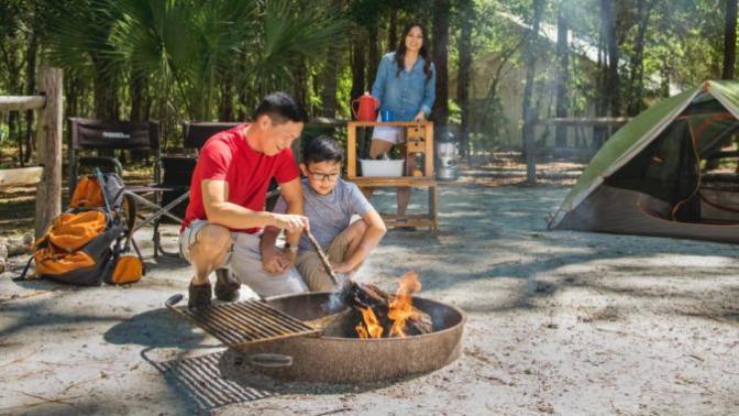Do you prefer camping at established campsites or in the wild?