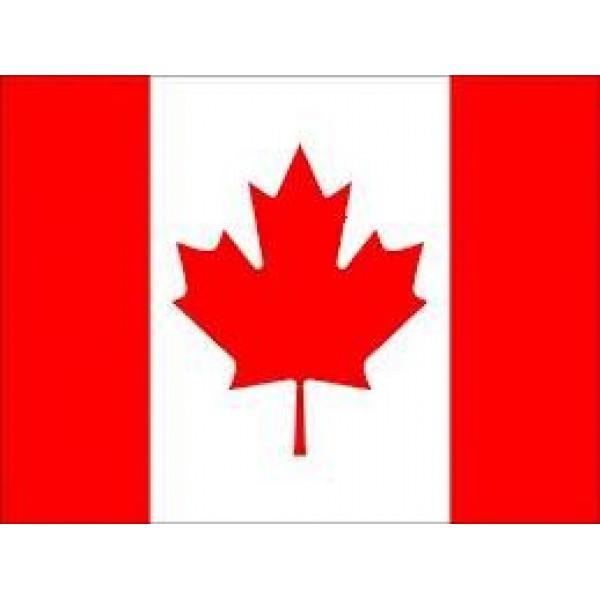 Which country-phone models. Why? Which one do you use or do you think is best?