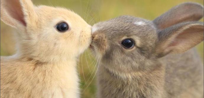 How do you like to be kissed?