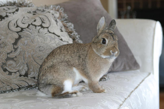 How do you like to be kissed?