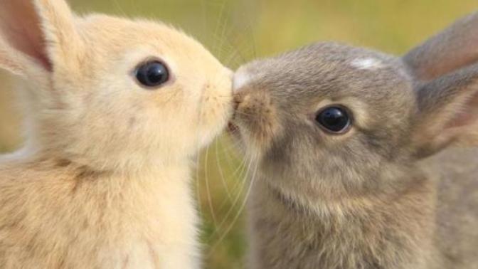 How do you like to be kissed?