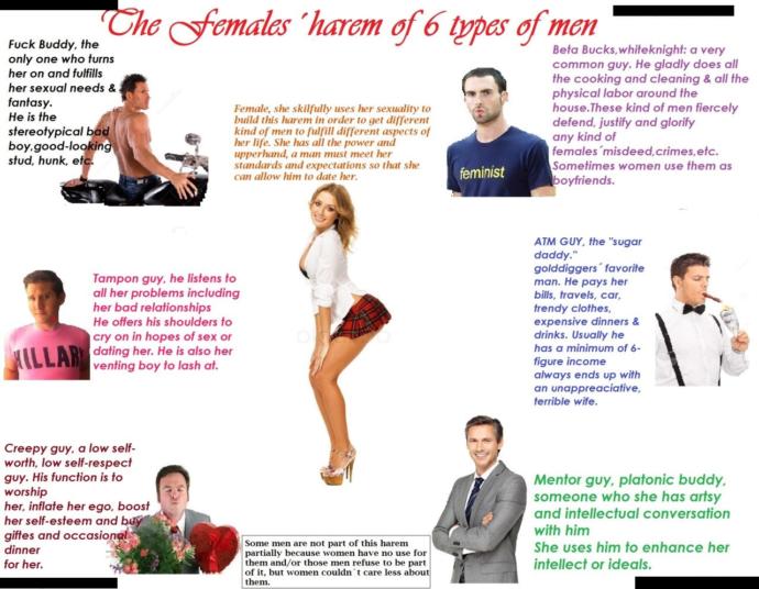 Do you agree with The Female's Harem of 6 Types of Men picture?
