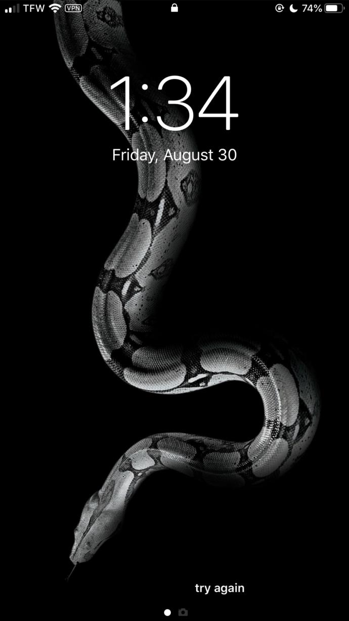Which Iphone wallpaper do you like?