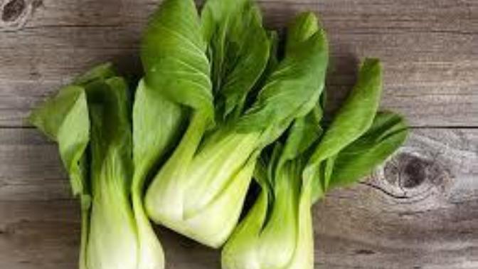 Do you like bok choy?