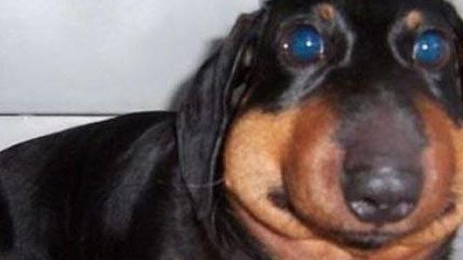 What's the worst thing you've ever seen on the internet?