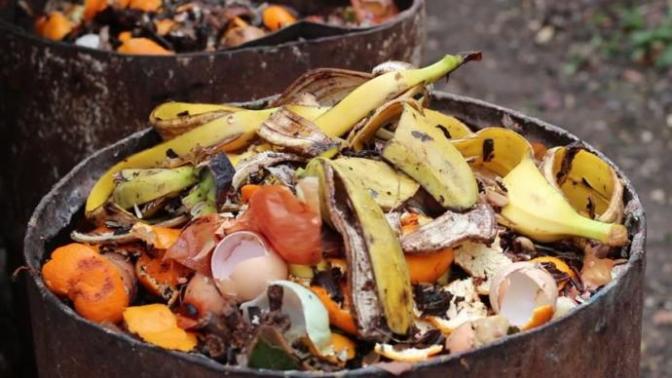What are your thoughts on food waste in the community?