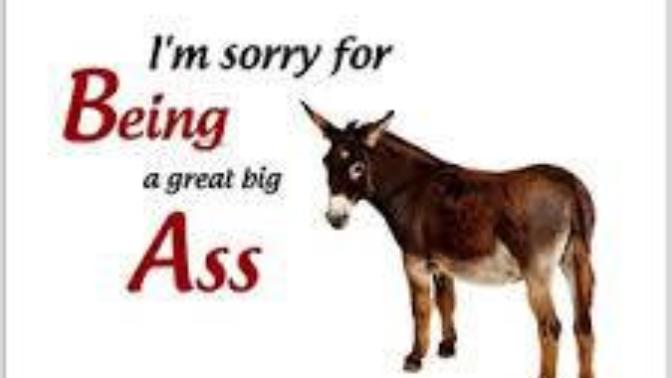 I think the opposite sex could use an apology for ' X ' and a thank you for ' X '?