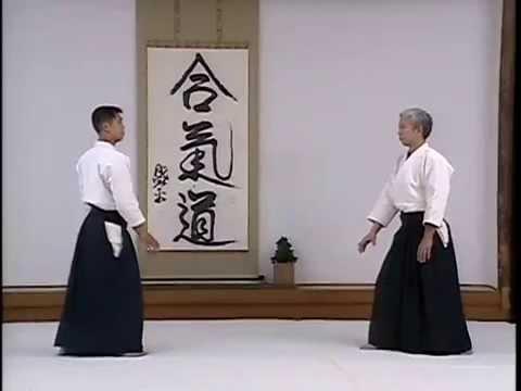 Which Marshal Art should I learn, Karate or Aikido?