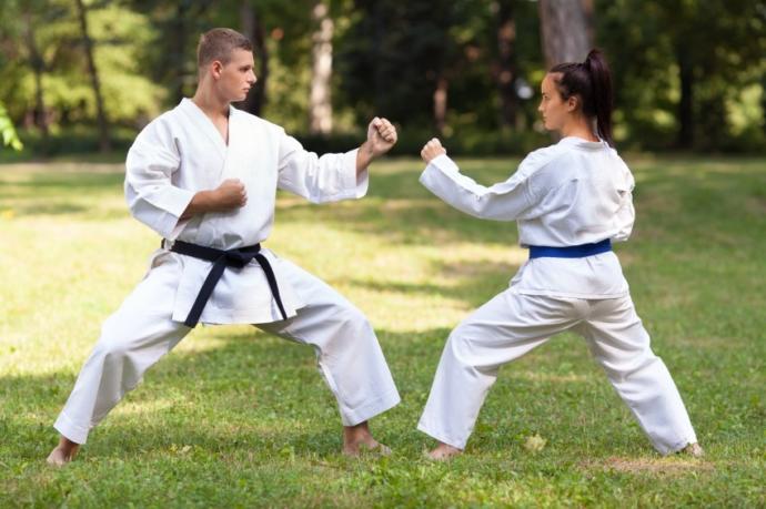 Which Marshal Art should I learn, Karate or Aikido?