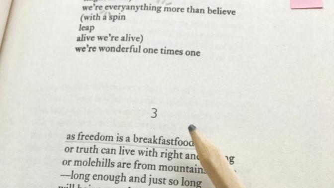 Does anyone in this site knows how to annotate books?
