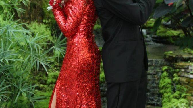 What was your prom themed and would you enjoy going to a James bond/secret agent themed prom?