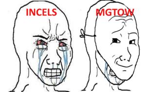 Do you hate these MGTOW and incel lames?