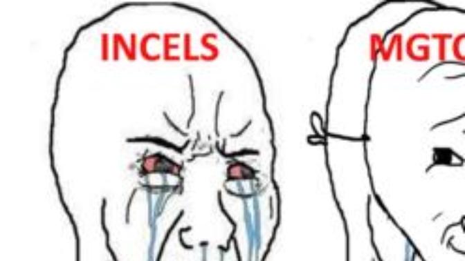 Do you hate these MGTOW and incel lames?