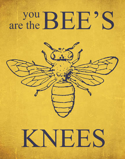What's a fun old-fashioned phrase that you like and want to keep alive?