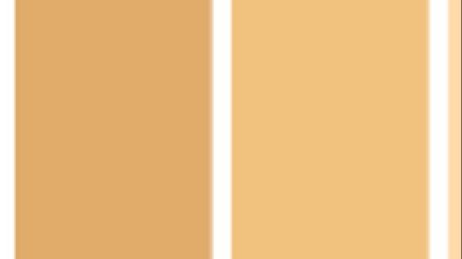 Choose a hair color for me please?