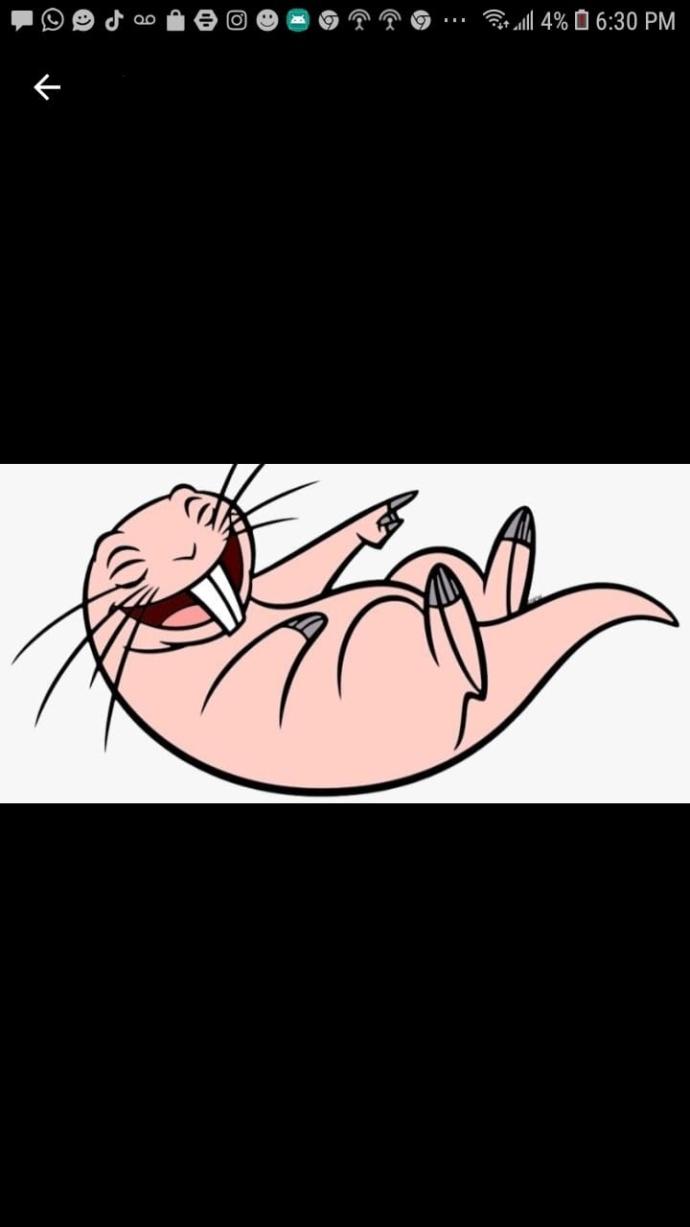 How do you reply to receiving unsolicited dick pics?