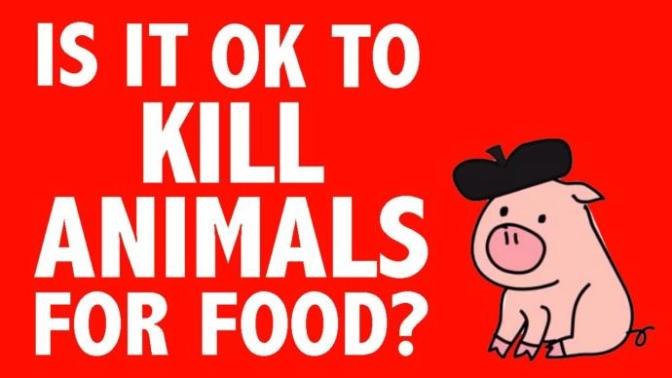 Is it okay to kill animals for food?