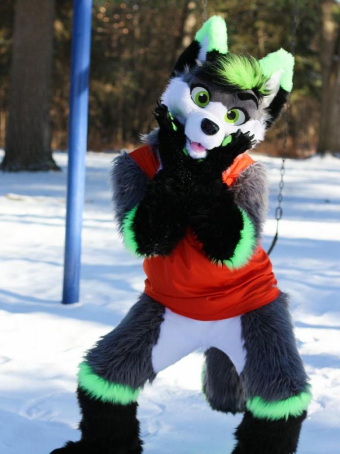 What do you think of furries?