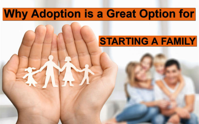Is this form of adoption a great idea?