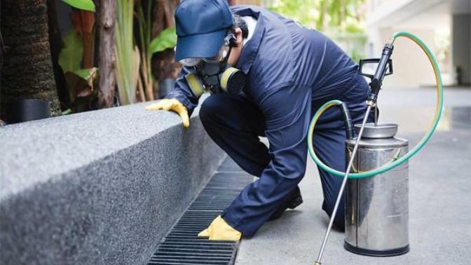 What do you use for pest control?