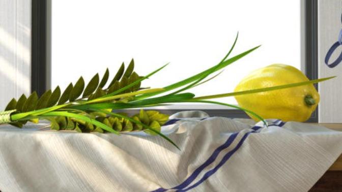 Sukkot is coming up after Yom Kippur, anyone observing Sukkot?