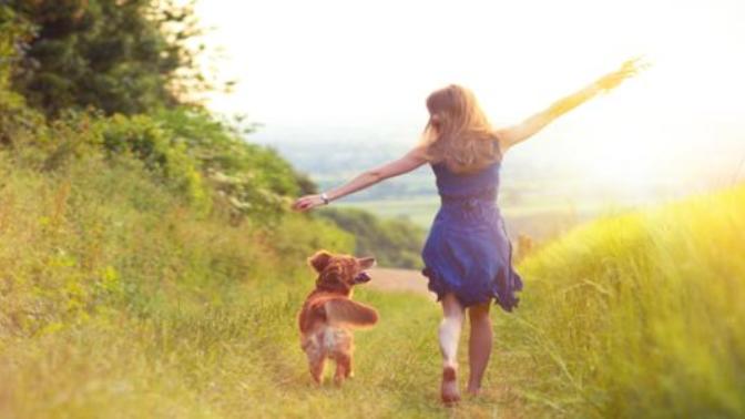 What are good things about life other than love?