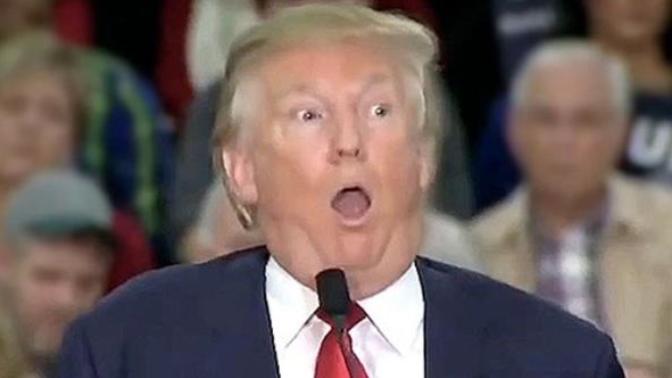 How many heads exploded when someone spoke against the chosen one, and the talking points from the chosen one?