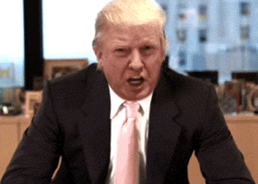 If trump loses in 2020, wouldn't it be fair to toss trump's ass over the wall so the so-called savage Mexicans can have their way with him?