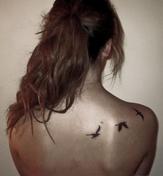 Which type of design for dolphin tattoo??