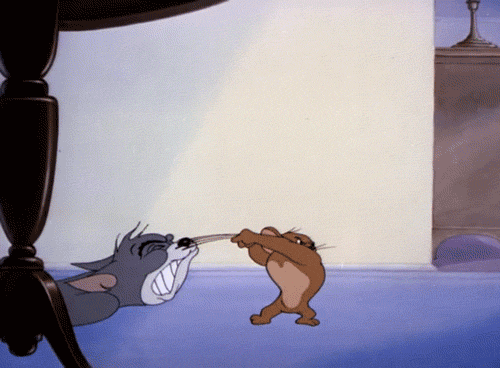 How would you react if you witnessed a mouse beating up a cat?