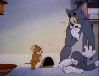 How would you react if you witnessed a mouse beating up a cat?