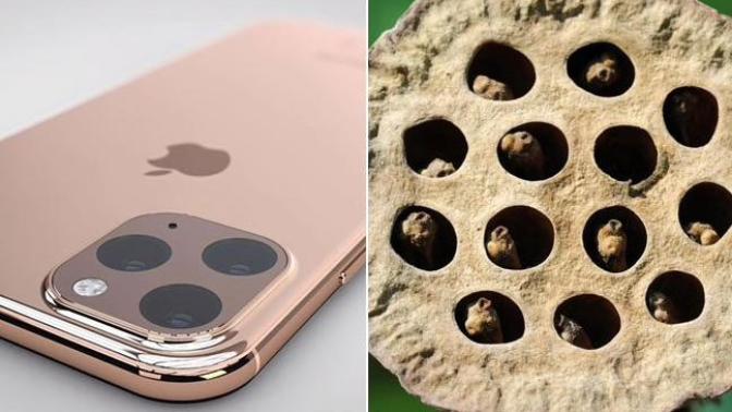 Do you think new iPhone 11 design triggers trypophobia?