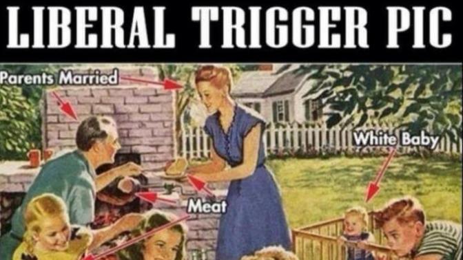 What was the most triggering thing you ever said/showed to Liberals?