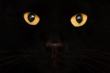 Do you believe in any superstitions?