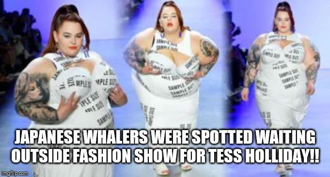 Tess holliday walked an NYFW show What do you think?