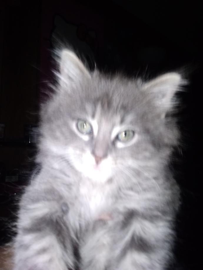 What should I name Him?