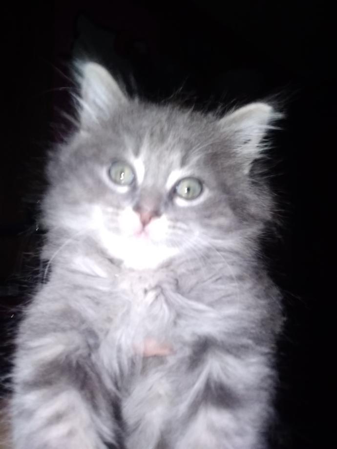 What should I name Him?