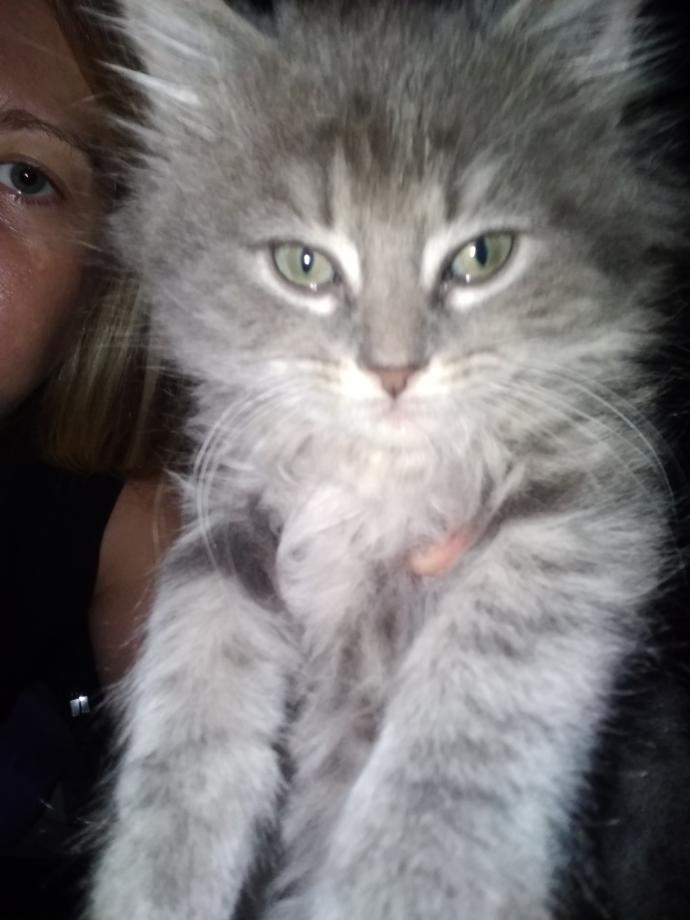 What should I name Him?
