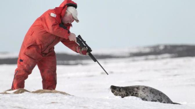 Should poachers receive the death penalty?