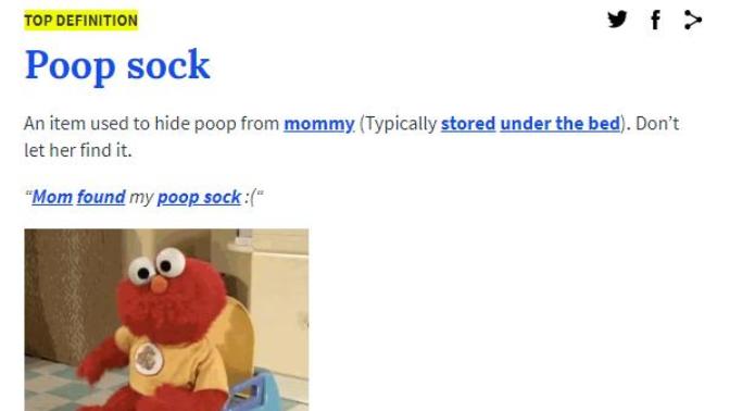 Do you have a poop sock?