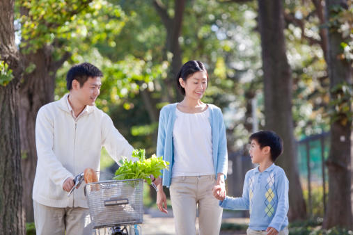 What is a Japanese wife/girlfriend like?