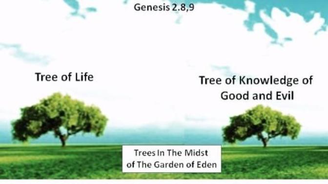 Do you think God set up Adam and Eve to fail by putting the tree of good and evil in the midst of the garden, if so why you think and feel that way?