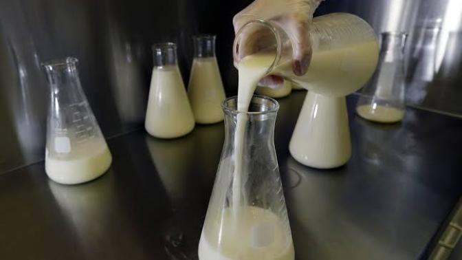 Why don't we drink human milk?