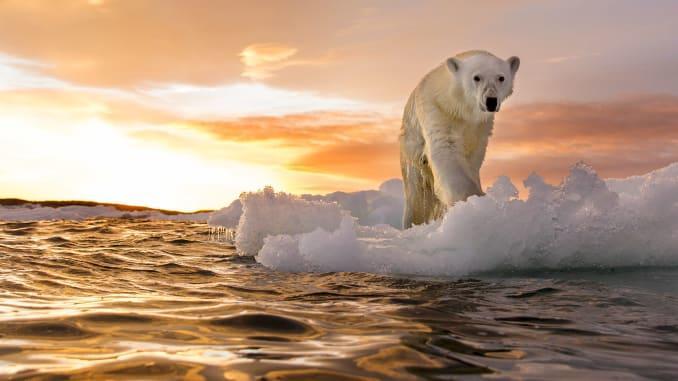 Question for deniers of anthropogenic climate change, if not human activity, what is causing the recent warming?