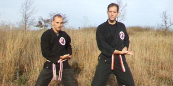 Which one of these KARATE styles is best?
