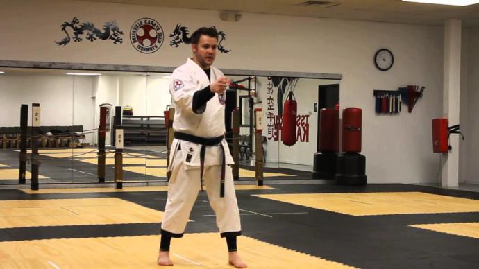 Which one of these KARATE styles is best?